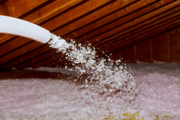 Best Specialized Insulation Services in Parkersburg, IA