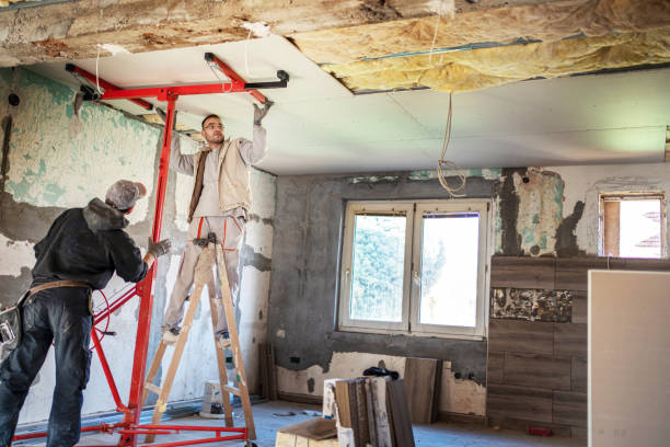 Best Geographic-Specific Insulation Services in Parkersburg, IA