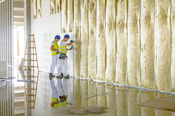 Best Cellulose Insulation in Parkersburg, IA